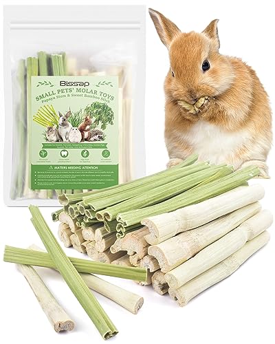 Bissap - 40 Kaustäbchen für Kaninchen, 20 süße Bambus-Kaustäbchen und 20 Papaya-Stängel für Kaninchen Bissap - 40 Kaustäbchen für Kaninchen, 20 süße Bambus-Kaustäbchen und 20 Papaya-Stängel für Kaninchen von Bissap