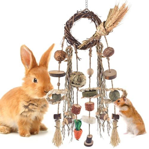 Bissap Hasenkauspielzeug, Kaninchenkäfig zum Aufhängen, Kauspielzeug und Leckerlis, Rattanring mit Snacks, Wassergras, Holzblock, Karotte für Meerschweinchen, Chinchillas, Hamster, Ratten und andere von Bissap