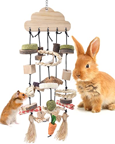 Bissap Kaninchen-Kauspielzeug, Hasenkäfig zum Aufhängen, Kauspielzeug und Leckerlis, aus Holz mit Snacks für Meerschweinchen, Chinchillas, Hamster, Ratten und andere kleine Haustiere, Zähneknirschen Bissap Kaninchen-Kauspielzeug, Hasenkäfig zum Aufhängen, Kauspielzeug und Leckerlis, aus Holz mit Snacks für Meerschweinchen, Chinchillas, Hamster, Ratten und andere kleine Haustiere, Zähneknirschen von Bissap