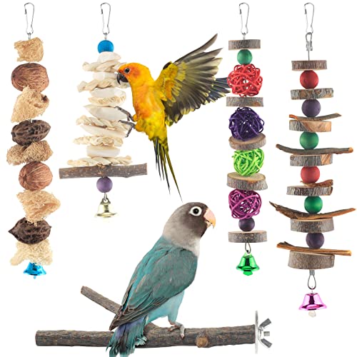 Bissap Vogel-Kauspielzeug, 5 Stück, natürliches Holzspielzeug für Papageien, Vogel-Ständer für kleine Vögel, Sittiche, Nymphensittiche, Papageien, Wellensittiche von Bissap