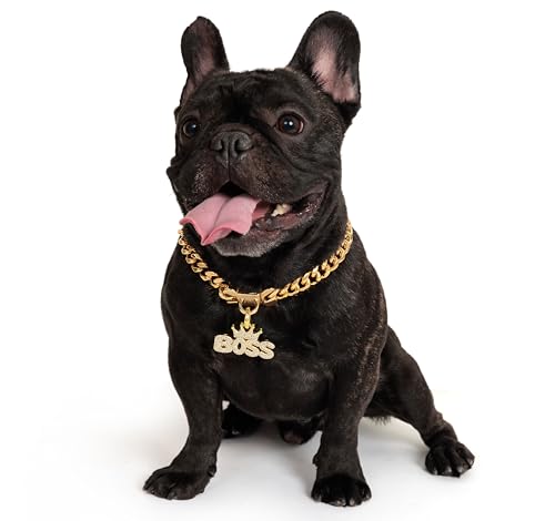 BiteKing Goldfarbenes Hundehalsband, 18 Karat kubanische Glieder, starkes Metallhalsband für kleine und mittelgroße Hunde BiteKing Goldfarbenes Hundehalsband, 18 Karat kubanische Glieder, starkes Metallhalsband für kleine und mittelgroße Hunde von BiteKing