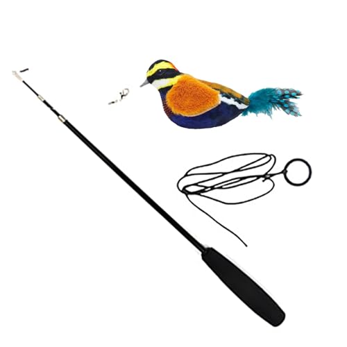 Bitong Katzen-Stäbchen - Vogel Zauberstab Feder Teaser Spielzeug für Katzen,Entwicklungsinteraktiver Katzenspielzeugstab für Katzenkätzchen im Innenbereich Bitong Katzen-Stäbchen - Vogel Zauberstab Feder Teaser Spielzeug für Katzen,Entwicklungsinteraktiver Katzenspielzeugstab für Katzenkätzchen im Innenbereich von Bitong
