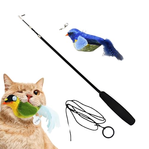 Bitong Katzenfederstab - Vogel Design Zauberstab Federspielzeug,Tragbares interaktives Katzenfederspielzeug, quietschendes Katzenspielzeug für kleine mittelgroße Kätzchen, Katzen, Welpen Bitong Katzenfederstab - Vogel Design Zauberstab Federspielzeug,Tragbares interaktives Katzenfederspielzeug, quietschendes Katzenspielzeug für kleine mittelgroße Kätzchen, Katzen, Welpen von Bitong