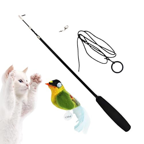 Bitong Katzenspielzeug, Vogel Design Zauberstab Federspielzeug, Wiederverwendbares, interaktives, quietschendes Katzen-Teaser-Entwicklungsspielzeug für Katzenwelpen im Innenbereich Bitong Katzenspielzeug, Vogel Design Zauberstab Federspielzeug, Wiederverwendbares, interaktives, quietschendes Katzen-Teaser-Entwicklungsspielzeug für Katzenwelpen im Innenbereich von Bitong