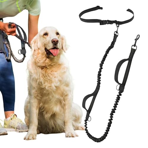 Freihändiges Seil für Hunde, Outdoor-Spaziergänge, reflektierendes Hundeseil, vielseitiges, verstellbares langes Seil, einfach am Hüftgurt Freihändiges Seil für Hunde, Outdoor-Spaziergänge, reflektierendes Hundeseil, vielseitiges, verstellbares langes Seil, einfach am Hüftgurt von Bitong
