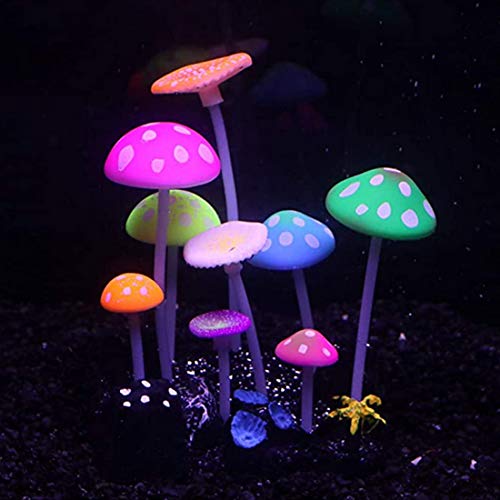 Bitray Aquarium-Dekorationen, leuchtender künstlicher Pilz, Kunststoff-Aquarium-Ornament, Silikon, künstliche Dekorationen für Aquarium-Landschaft (mehrfarbig) von Bitray
