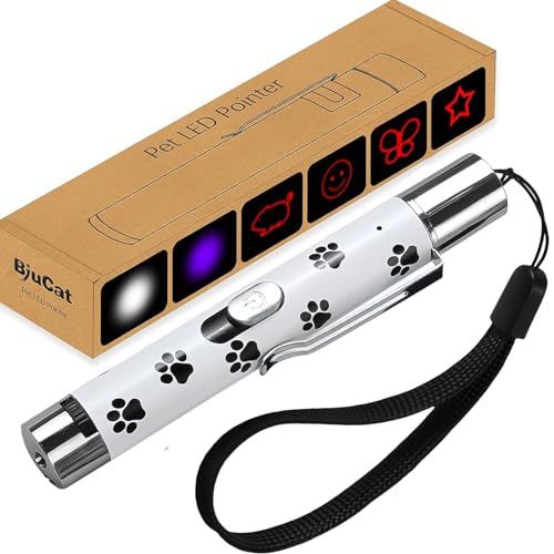 BiuCat W1 7 in 1 USB LED Pointer Interaktives Spielzeug Trainingsgerät für Katzen Hund Haustier, Wiederaufladbar (Weiß) von BiuCat