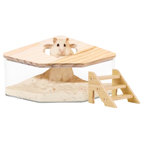 Biunnru Hamster-Sandbadbehälter, Kleintier-Sandbade-Dusche, Hamster-Sandkasten mit Leiter für einfache Reinigung, perfekt für Zwerghamster, Rennmäuse und Chinchillas, Haustier-Badezubehör (1 Stück) Biunnru Hamster-Sandbadbehälter, Kleintier-Sandbade-Dusche, Hamster-Sandkasten mit Leiter für einfache Reinigung, perfekt für Zwerghamster, Rennmäuse und Chinchillas, Haustier-Badezubehör (1 Stück) von Biunnru