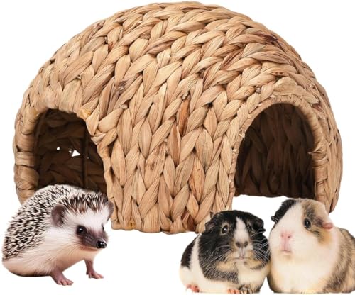 Kaninchengrashaus, natürliches Rohrkolbenhaus, Meerschweinchenhaus, Kleintiere, Rohrkolbenhaus, Kaninchenversteck für Kleintiere Kaninchengrashaus, natürliches Rohrkolbenhaus, Meerschweinchenhaus, Kleintiere, Rohrkolbenhaus, Kaninchenversteck für Kleintiere von Bivwopei