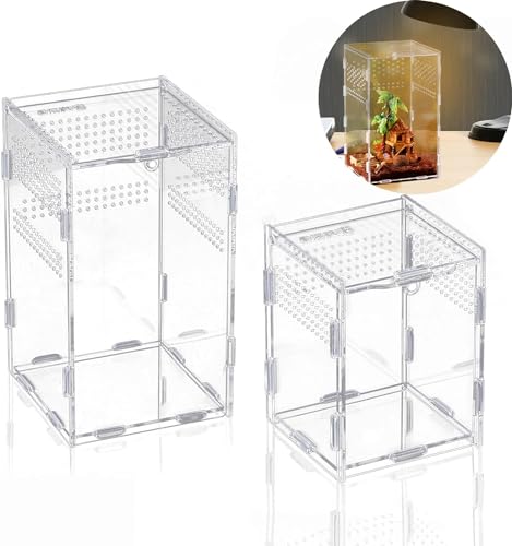 Reptilien-Futterbox für Reptilien, Acryl, transparent, für Reptilien, Insekten, 2 Stück von Bivwopei