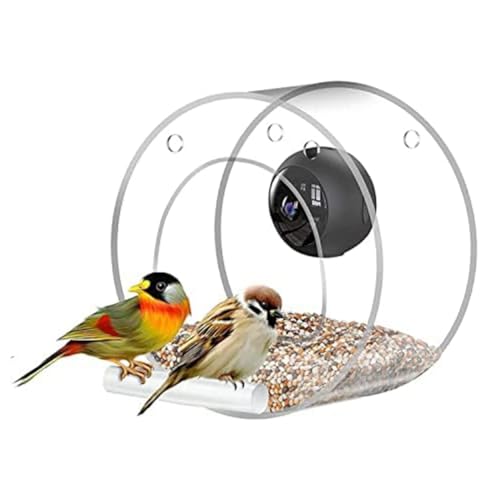 Biwwubik Vogelfutterstation mit Vogelbeobachtungskamera, Fernverbindung über Mobiltelefon für Vogelbeobachtung von Biwwubik
