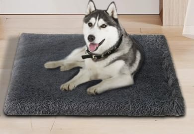 Bizcasa Hundebett, Hundekissen (L-L75 x B50 x H6 cm) von Bizcasa