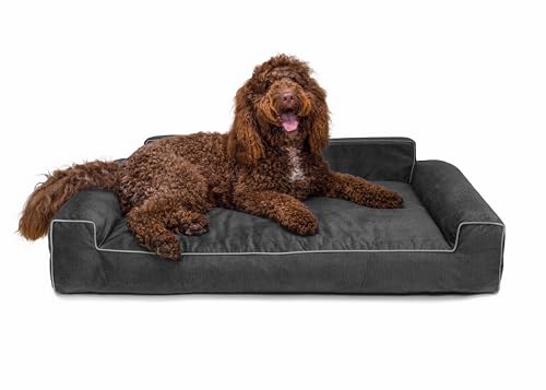 Bjird Hundebett - Hundekorb für kleine mittelgroße & große Hunde - Hundekissen - Hundesofa - Bezug abnehmbar und waschbar - Glamour New - Größe: XL: 116 x 78 cm - Schwarz Fancy Bjird Hundebett - Hundekorb für kleine mittelgroße & große Hunde - Hundekissen - Hundesofa - Bezug abnehmbar und waschbar - Glamour New - Größe: XL: 116 x 78 cm - Schwarz Fancy von Bjird
