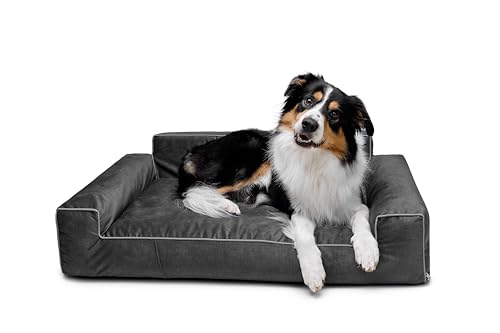 Bjird Hundebett - Hundekorb für kleine mittelgroße & große Hunde - Hundekissen - Hundesofa - Bezug abnehmbar und waschbar - Glamour New - Größe: L: 98 x 66 cm - Schwarz Fancy Bjird Hundebett - Hundekorb für kleine mittelgroße & große Hunde - Hundekissen - Hundesofa - Bezug abnehmbar und waschbar - Glamour New - Größe: L: 98 x 66 cm - Schwarz Fancy von Bjird