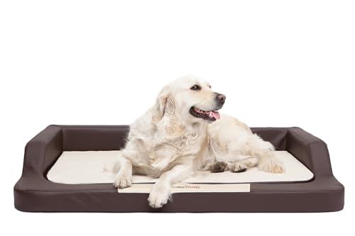 Hundebett für kleine, mittelgroße und Grosse Hunde - orthopädische Hundesofa mit Memory Foam - Ergonomisches Hundekissen - Hundeliegen aus Kunstleder - Bezug abnehmbar & waschbar - L - Braun/Beige von Bjird