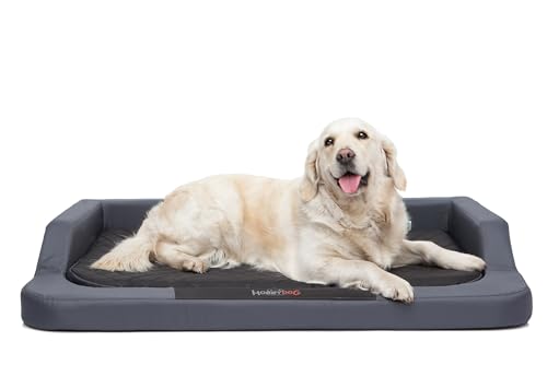 Hundebett für kleine, mittelgroße und Grosse Hunde - orthopädische Hundesofa mit Memory Foam - Ergonomisches Hundekissen - Hundeliegen - Bezug abnehmbar und abwaschbar - Größe: L - Grau mit Schwarz von Bjird