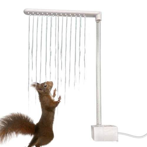 Bkljkf Bärtiges Drachenbad, bärtige Drachendusche | Badezubehör Duschkopf Bart Dragon Accessoires | Haustiervorräte, elektrische 360 -Rotations -Duschkopf für kleine Tiere von Bkljkf