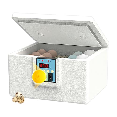 Bkljkf Eier Inkubator Box | Automatische Entenküken Brutbox - Temperaturgesteuertes Brutgerät Mit Digitaler Anzeige Und Touch Bedienung Bkljkf Eier Inkubator Box | Automatische Entenküken Brutbox - Temperaturgesteuertes Brutgerät Mit Digitaler Anzeige Und Touch Bedienung von Bkljkf