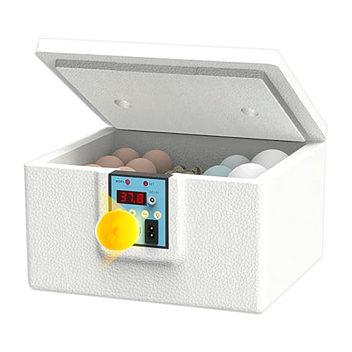 Bkljkf Eier Inkubator Box | Enten Wärmekasten,Tragbarer Brutkasten Mit Digitalanzeige Und Temperaturgesteuerten Brutkasten Für Die Hinterhofhaltung Bkljkf Eier Inkubator Box | Enten Wärmekasten,Tragbarer Brutkasten Mit Digitalanzeige Und Temperaturgesteuerten Brutkasten Für Die Hinterhofhaltung von Bkljkf