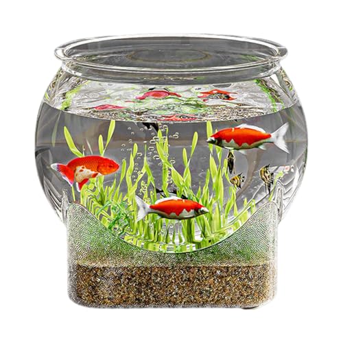 Bkljkf Runder Goldfischglas Kugelvase Klare Durchsichtige Fischschale Kunststoff Fischschale Transparente Fischzuchtbox Rundes Aquarium Für Blumen Sukkulenten Hydrokulturpflanze Fische Heimdekoration von Bkljkf