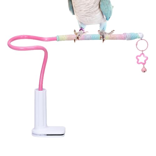 Bkljkf Vogel Spielplatz - Spielständer Mit Glocke,Bunte Nymphensittich Spielzeuge, Wellensittich Käfigzubehör Für KleinWie Unzertrennliche & Conures Bkljkf Vogel Spielplatz - Spielständer Mit Glocke,Bunte Nymphensittich Spielzeuge, Wellensittich Käfigzubehör Für KleinWie Unzertrennliche & Conures von Bkljkf
