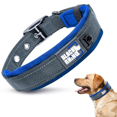Black Rhino - Das Comfort Halsband Super Weiches Neopren Gepostertes Hundehalsband für alle Hunderassen - Hochbeanspruchbar Verstellbar Reflektierend Wetterfest (Groß, Blau/Schwarz) von Black Rhino
