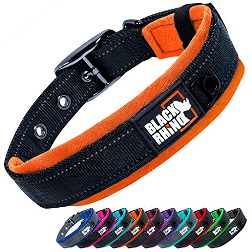 Black Rhino – Das Komforthalsband, superweiches, mit Neopren gepolstertes Hundehalsband für alle Hunderassen – robust, verstellbar, reflektierend, wetterfest (mittel, orange/schwarz) von Black Rhino
