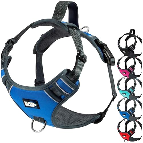 Black Rhino das Comfort-hundegeschirr mit Netz Padded Vest für kleine große rassen | einstellbare | reflektierende | 2 Leine attachments auf der Brust (Large, blau/gr) , halti für hunde von Black Rhino