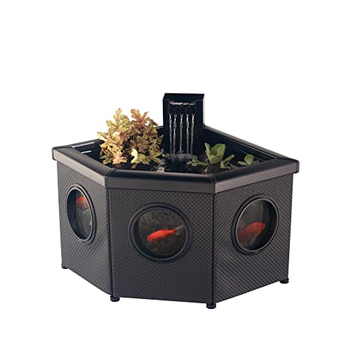 Blagdon Affinity View Corner Living Water Feature Eckteichbecken für Wasserlebewesen, mit Sichtfenster, Inpond 5-in-1-Filterpumpe 2000, LED-Strahler, 3 schönen Springbrunnenköpfen, 1 Pflanzkorb Blagdon Affinity View Corner Living Water Feature Eckteichbecken für Wasserlebewesen, mit Sichtfenster, Inpond 5-in-1-Filterpumpe 2000, LED-Strahler, 3 schönen Springbrunnenköpfen, 1 Pflanzkorb von Blagdon