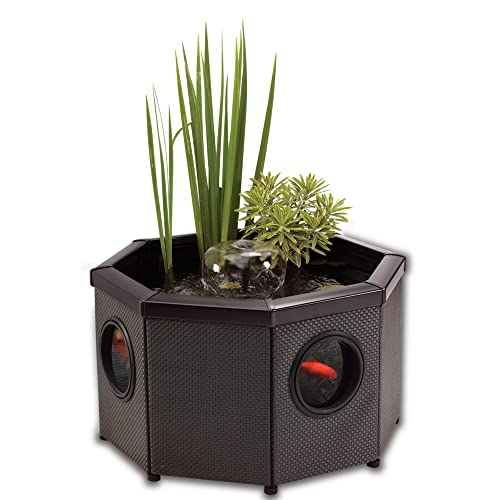 Blagdon Affinity View Octagon Living Water Feature Teichbecken für Wasserlebewesen, achteckig, mit Sichtfenstern Blagdon Affinity View Octagon Living Water Feature Teichbecken für Wasserlebewesen, achteckig, mit Sichtfenstern von Blagdon