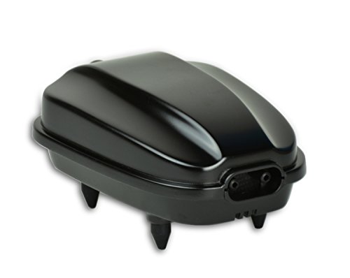 Blagdon Liberty Pulse Sauerstoffgenerator für Teiche, solarbetrieben mit Lithium-Batterie-Backup, pulsiert 5 Sekunden an und 12 Sekunden aus, Doppelausgang, beinhaltet 2 Airstones und 2 6FT Airlines, schwarz von Blagdon