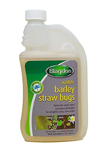 Blagdon Natürlicher Gerstenstroh, beseitigt grünes Wasser, Algen und Algen aus Teichen, sicher für Haustiere und Wildtiere, 1000 ml von Blagdon