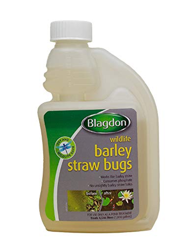 Blagdon Natürlicher Gerstenstroh, beseitigt grünes Wasser, Algen und Algen aus Teichen, sicher für Haustiere und Wildtiere, 250 ml Blagdon Natürlicher Gerstenstroh, beseitigt grünes Wasser, Algen und Algen aus Teichen, sicher für Haustiere und Wildtiere, 250 ml von Blagdon