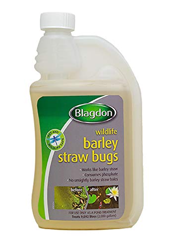 Blagdon Natürlicher Gerstenstroh, beseitigt grünes Wasser, Algen und Algen aus Teichen, sicher für Haustiere und Wildtiere, 500 ml Blagdon Natürlicher Gerstenstroh, beseitigt grünes Wasser, Algen und Algen aus Teichen, sicher für Haustiere und Wildtiere, 500 ml von Blagdon