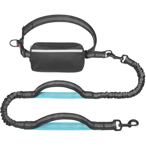 Joggingleine Hunde (Black) von Blanlody