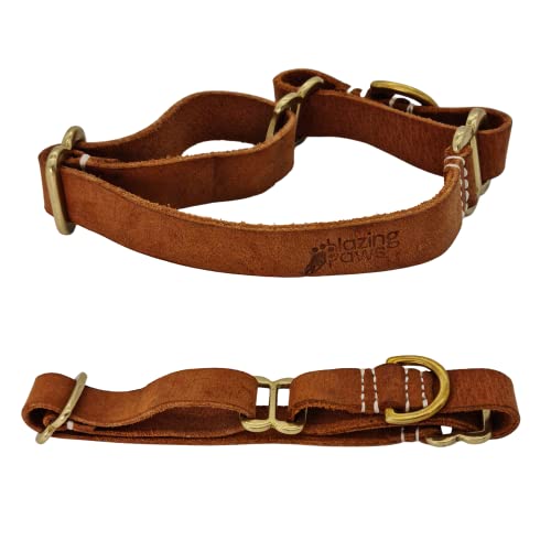 BlazingPaws Vibrania Martingale Slip-On Super Soft Distressed Leather Dog Collar for Medium Size Dogs, 1.9 Inches Wide in Colorful Vintage Shades (Größe M: Neck Size 11-13 Inches, Tan) von BlazingPaws