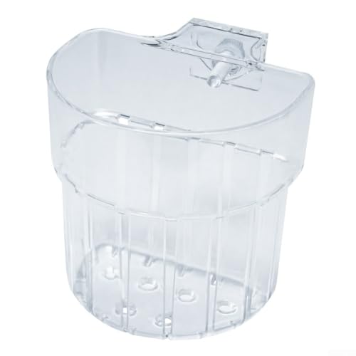 BlesConi Transparente Aquarium-Pflanzenhalter, Kunststoff, zum Aufhängen, 8 Stück (B) von BlesConi