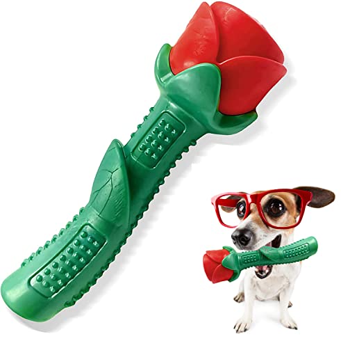Blingbrione Kauspielzeug für Hunde für große Rassen, aggressive Kauer, Welpen, robustes Spielzeug für Training und Reinigung, interaktives Zahnpflege-Geschenk von Blingbrione