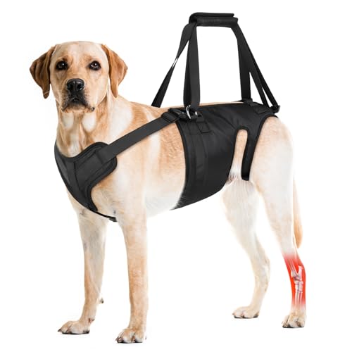 Dog Lift Harness Dog Sling for Large Medium Dogs' Hind Leg Support Pinking Ideal for Senioren, Disabled, Injured & Arthritic Dogs in ACL Recovery, Secure Harness for Assisted Mobility (Large) von Blinlit