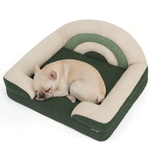 Blissful Diary Mittelgroßes Schaumstoff-Hundebett, Haustiersofa mit waschbarem Bezug und wasserdichtem Futter, weicher Plüsch mit Regenbogen-Design (Grün) von Blissful Diary
