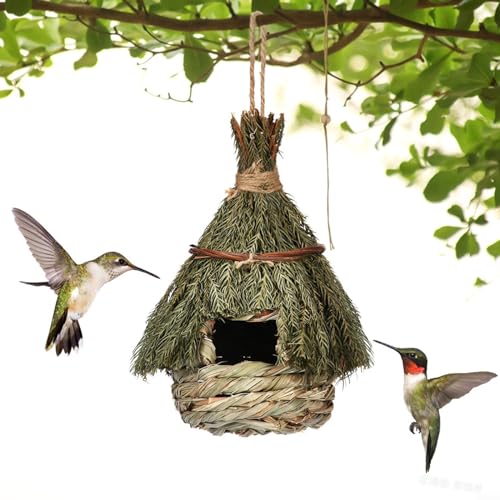 BlissfulAbode Handgefertigter Vogelkäfig zur Gartendekoration – ideales Vogelhaus für Ihre gefiederten Freunde und stilvolles Herzstück für Ihr Haus oder Ihren Garten (15 x 22 cm) von BlissfulAbode