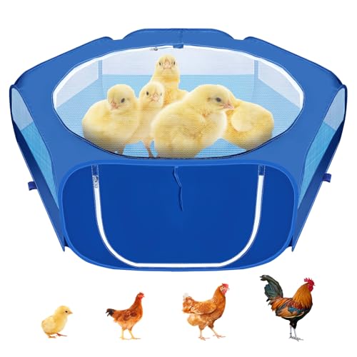Laufgitter für kleine Küken, atmungsaktives Netzgewebe, wasserdichtes Kükenbrutzelt mit Reißverschluss, faltbar, tragbar, für den Innen- und Außenbereich, mit 3 Bodennägeln für kleine Hühnerrassen Laufgitter für kleine Küken, atmungsaktives Netzgewebe, wasserdichtes Kükenbrutzelt mit Reißverschluss, faltbar, tragbar, für den Innen- und Außenbereich, mit 3 Bodennägeln für kleine Hühnerrassen von BlissfulAbode