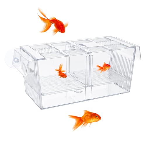 Aufzuchtbecken Aquarium Klein,Acrylic Fischzuchtkasten mit Saugnäpfen,Terrarium Faunarium,Ablaichkasten Aquarium Großer für für Garnelen, Clownfische Aufzuchtbecken Aquarium Klein,Acrylic Fischzuchtkasten mit Saugnäpfen,Terrarium Faunarium,Ablaichkasten Aquarium Großer für für Garnelen, Clownfische von Blleshelfl