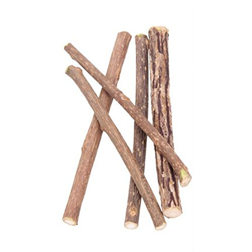 Blmirror 5 Stueck natuerliche Mutius Haustier Snack Katze Kauen Stick behandeln Spielzeug Katzenminze Molar Lebensmittel Katze Minze von Blmirror