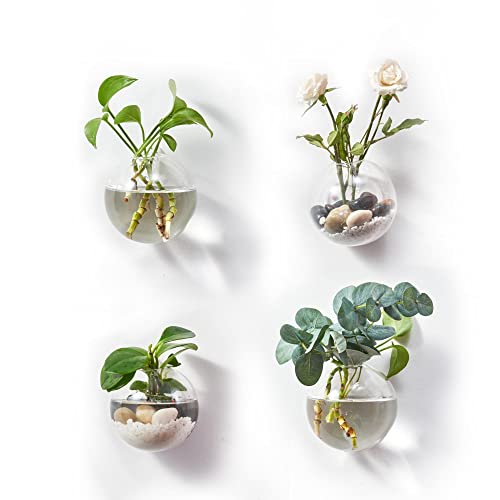 BlogBlog Wandbehang Pflanzgefäße Terrarium Glas Luft Pflanze Halter Töpfe für Pflanzen von BlogBlog