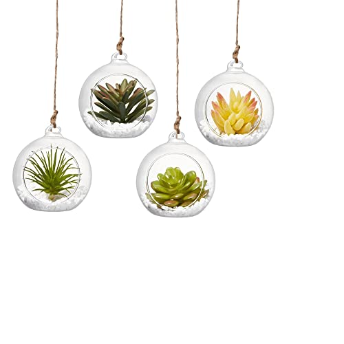 Glas-Terrarium zum Aufhängen (10,2 cm mit Seilen) von BlogBlog