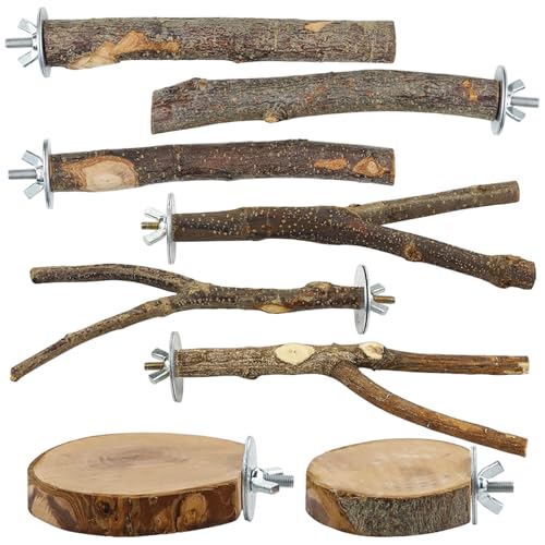 Blogiiup Vogelspielzeug, 8 -pcs -Papageienspielzeug, natürlicher Holzbarsch, Hangable Shotet, Spielplatz für Papageien, Brudeln, Kakadosen, Lovebirds, kauen Blogiiup Vogelspielzeug, 8 -pcs -Papageienspielzeug, natürlicher Holzbarsch, Hangable Shotet, Spielplatz für Papageien, Brudeln, Kakadosen, Lovebirds, kauen von Blogiiup
