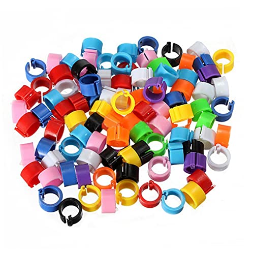 Geflügelringe Band, Birds Fußringe 100 Stcs 8 mm farbenfrohe Plastik -Identifikationsringmarkierung für Taubenküken Bantams und Lovebirds, Fußringe Band Geflügelringe Band, Birds Fußringe 100 Stcs 8 mm farbenfrohe Plastik -Identifikationsringmarkierung für Taubenküken Bantams und Lovebirds, Fußringe Band von Blogiiup