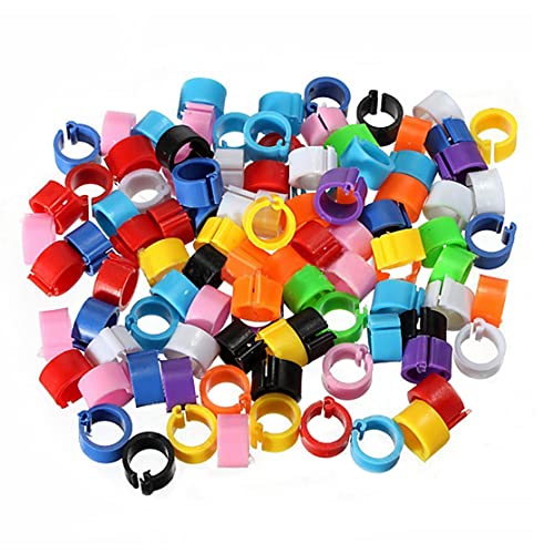 Vögel Beinringe, 100 PCs 8 mm nummerierte Tauben -Identifikations -Tag, farbenfrohe Plastik -Identifikationsbein Ringmarkierung für Taubenküken Bantams Vögel Beinringe, 100 PCs 8 mm nummerierte Tauben -Identifikations -Tag, farbenfrohe Plastik -Identifikationsbein Ringmarkierung für Taubenküken Bantams von Blogiiup