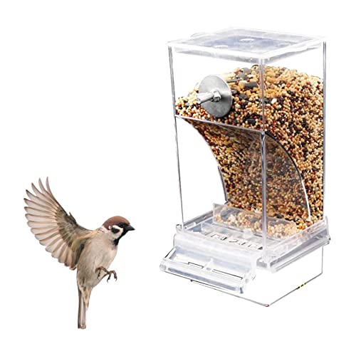 Vogelkäfig -Feeder, automatischer Vogelhäuschen mit Barsch, transparenter Papageiensamen -Feeder, Vogelsamenspender für kleine mittlere Sittiche Kanarien Vogelkäfig -Feeder, automatischer Vogelhäuschen mit Barsch, transparenter Papageiensamen -Feeder, Vogelsamenspender für kleine mittlere Sittiche Kanarien von Blogiiup